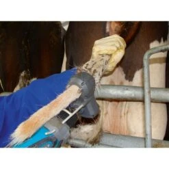 Kerbl Staart Tondeuse Tailwell II -Huisdierbenodigdheden ke 182504.e19751