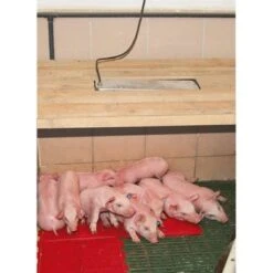 Kerbl Sunnyboy Warmtestraler 150w -Huisdierbenodigdheden ke 222593mood03.2a1cdc