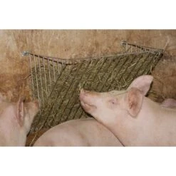 Kerbl Wand Hooirek (40mm), Gegalvaniseerd -Huisdierbenodigdheden ke 327051.7c4a6e