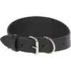 Kerbl Halsband Mexica Voor Windhonden Zwart -Huisdierbenodigdheden ke 80208.6a6f23