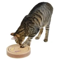 Kerbl Denk-en-Leerspeelgoed Exciting Voor Katten 20x4cm -Huisdierbenodigdheden ke 822592.a9fec5