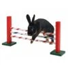 Kerbl Agility Hoogtesprong Voor Knaagdieren 70x5x35cm