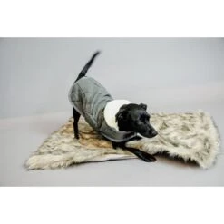 Kentucky Honden Bed Blanket Fuzzy