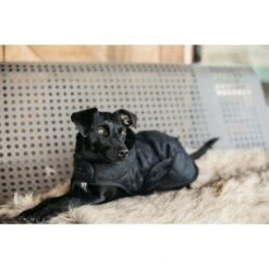 Kentucky Dog Coat Original Zwart -Huisdierbenodigdheden ken 52104hondenjas2.fb5c4d