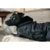 Kentucky Dog Coat Original Zwart -Huisdierbenodigdheden ken 52104hondenjas3.9f0f15