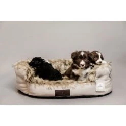 Kentucky Honden Bed Cave