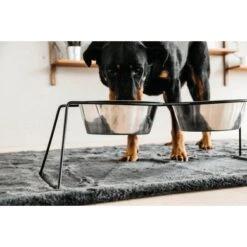 Kentucky Hondenbak Comfort Zwart -Huisdierbenodigdheden kentucky 485a7317.4ab91b