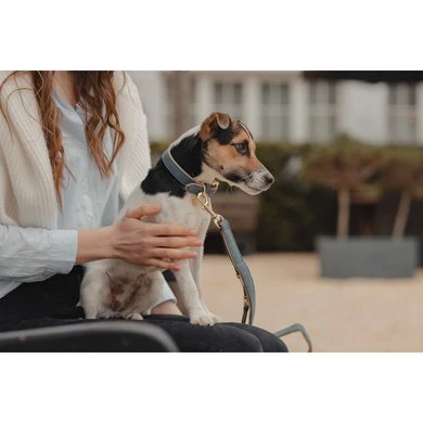 Kentucky Hondenhalsband Soft Vegan Leather Navy/Beige 9 Kentucky Hondenhalsband Soft Vegan Leather Navy/Beige - Afbeelding 7