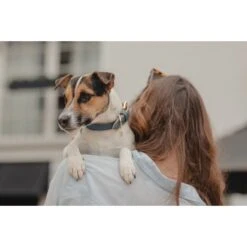 Kentucky Hondenhalsband Soft Vegan Leather Navy/Beige 20 Kentucky Hondenhalsband Soft Vegan Leather Navy/Beige -Huisdierbenodigdheden kentucky bw4a7132.0a4d4a