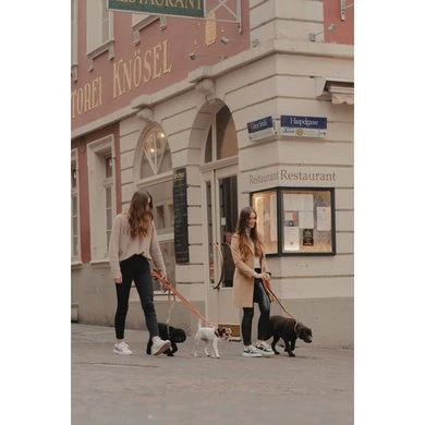 Kentucky Hondenhalsband Soft Vegan Leather Navy/Beige 12 Kentucky Hondenhalsband Soft Vegan Leather Navy/Beige - Afbeelding 10