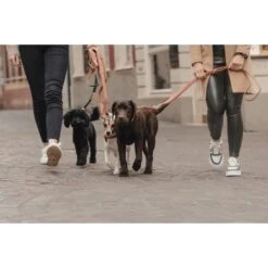 Kentucky Hondenhalsband Soft Vegan Leather Navy/Beige 23 Kentucky Hondenhalsband Soft Vegan Leather Navy/Beige -Huisdierbenodigdheden kentucky bw4a7853.69903e