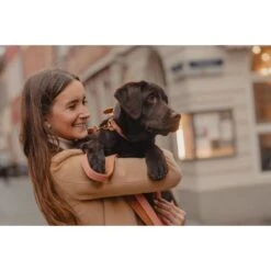 Kentucky Hondenhalsband Soft Vegan Leather Peach/Bruin -Huisdierbenodigdheden kentucky bw4a7882.363b52