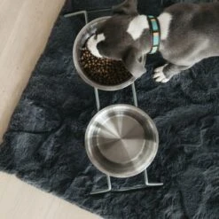 Kentucky Hondenbak Comfort Dusty Green -Huisdierbenodigdheden kentucky hondenbak comfort dusty green 1.a4901e