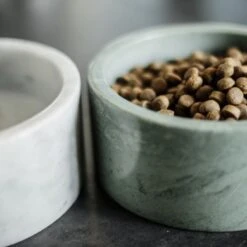 Kentucky Dogwear Hondenbak Marmer Groen -Huisdierbenodigdheden kentucky hondenbak marmer groen 2.4e282b 1