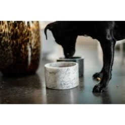 Kentucky Dogwear Hondenbak Marmer Grijs -Huisdierbenodigdheden kentuckydogwear 16042020 485a9784.3c5bff