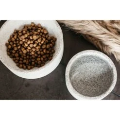 Kentucky Dogwear Hondenbak Graniet Grijs 8 Kentucky Dogwear Hondenbak Graniet Grijs -Huisdierbenodigdheden kentuckydogwear 24042020 485a0599.1a7cce