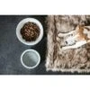 Kentucky Dogwear Hondenbak Graniet Grijs -Huisdierbenodigdheden kentuckydogwear 24042020 485a0627.fd23e3