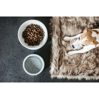 Kentucky Dogwear Hondenbak Graniet Grijs 3 Kentucky Dogwear Hondenbak Graniet Grijs