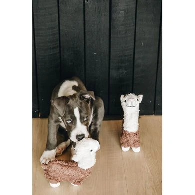 Kentucky Dogwear Hondenspeelgoed Alfredo Zacht Alpaca 4 Kentucky Dogwear Hondenspeelgoed Alfredo Zacht Alpaca - Afbeelding 2