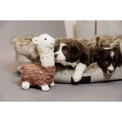 Kentucky Dogwear Hondenspeelgoed Alfredo Zacht Alpaca 5 Kentucky Dogwear Hondenspeelgoed Alfredo Zacht Alpaca - Afbeelding 3