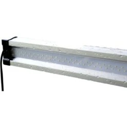 Kerbl LED Lamp FarmPro Vochtproof -Huisdierbenodigdheden ker 34561612.dde917