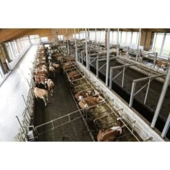 Kerbl InternetCamera IPCam 360 FHD 1080p Zwart 23x14x20cm -Huisdierbenodigdheden kerbl 108093mood02.51df65