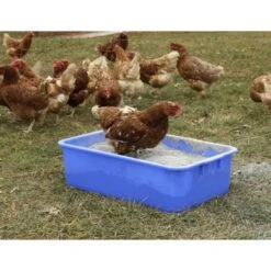 Kerbl Bak Plastic Blauw 63x39x17cm -Huisdierbenodigdheden kerbl 1653621jpg.18b814