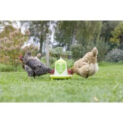 Kerbl Pluimvee Voertoren Love My Ladies -Huisdierbenodigdheden kerbl 196330 anwendungsbild 70168.3710fb