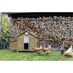 Kerbl Besturing Voor Kippendeur -Huisdierbenodigdheden kerbl 196477 anwendungsbild 70540.3c9e2d