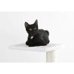 Kerbl Krabpaal Venus Wit 109cm -Huisdierbenodigdheden kerbl 815883mood02.cecbd7