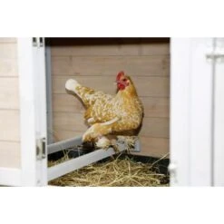Kerbl Kippenhok Bonny 181x65x118cm -Huisdierbenodigdheden kerbl 8171323.4e839b