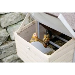 Kerbl Kippenhok Bonny 181x65x118cm -Huisdierbenodigdheden kerbl 8171324.7d6b0c