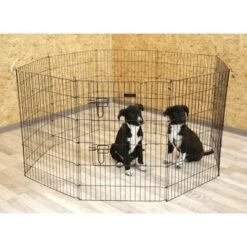 Kerbl Puppyren -Huisdierbenodigdheden kerbl 817153mood02.499b27