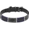 Kieffer Hondenhalsband Buenos Aires Zwart/Grijs/Blauw 2 Kieffer Hondenhalsband Buenos Aires Zwart/Grijs/Blauw -Huisdierbenodigdheden kieffer 538 a buenos aires hundehalsband dogcollar black chrome 2.d21aa4