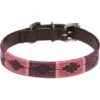 Kieffer Hondenhalsband Buenos Aires Bruin/Bordeaux/Roze 1 Kieffer Hondenhalsband Buenos Aires Bruin/Bordeaux/Roze -Huisdierbenodigdheden kieffer 538 b buenos aires hundehalsband dogcollar brown chrome 2.96808d