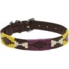 Kieffer Hondenhalsband Buenos Aires Bruin/Cream/Bordeaux 1 Kieffer Hondenhalsband Buenos Aires Bruin/Cream/Bordeaux -Huisdierbenodigdheden kieffer 538 c buenos aires hundehalsband dogcollar brown chrome 2.ddbdef