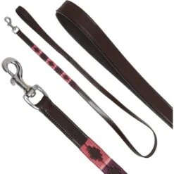 Kieffer Hondenriem Buenos Aires Bruin/Bordeaux/Roze 160cm -Huisdierbenodigdheden kieffer 539 b buenos aires hundeleine doglead brown chrome 1.3b744d