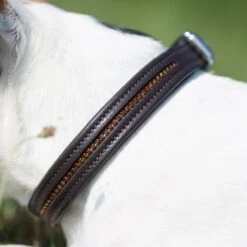 Kieffer Halsband 37cm Kristallen Bruin