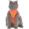 Medical Pet Shirt Kat Oranje -Huisdierbenodigdheden mps oranje kat.d5e8af