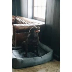 Kentucky Honden Bed Soft Sleep -Huisdierbenodigdheden productkentucky 52411 3.c7976e