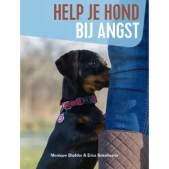 Help Je Hond Bij Angst