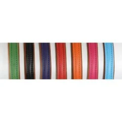 Digby & Fox Lijn Leer Roze 1,5cm 110cm -Huisdierbenodigdheden productsh 6619.c9684d