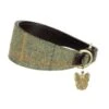 Digby & Fox By Shires Halsband Greyhound Leder Gevoerd Groen 2 Digby & Fox By Shires Halsband Greyhound Leder Gevoerd Groen -Huisdierbenodigdheden productsh 6631.6b7937