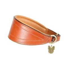 Digby & Fox By Shires Halsband Greyhound Gewatteerd Tan
