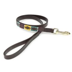 Digby & Fox Lijn Dover Polo Leder Geel/Groen/Paars M