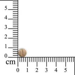 Sensipharm Sneeze Aid - Kat 90 Tabl. A 250 Mg -Huisdierbenodigdheden sensi sensipharm 250mg centimeter.0c7456 2