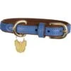 Digby & Fox Halsband Leer Royal -Huisdierbenodigdheden shires 6618 royal.4901d7