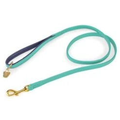 Digby & Fox Lijn Leer Aqua 1,2cm 110cm