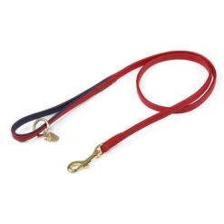 Digby & Fox Lijn Leer Scarlett 1,5cm 110cm