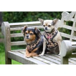 Digby & Fox Tuig Leopard Print Leopard -Huisdierbenodigdheden shires 6871 leopard 3.517f9a